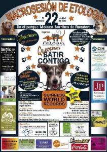 Cartel web
