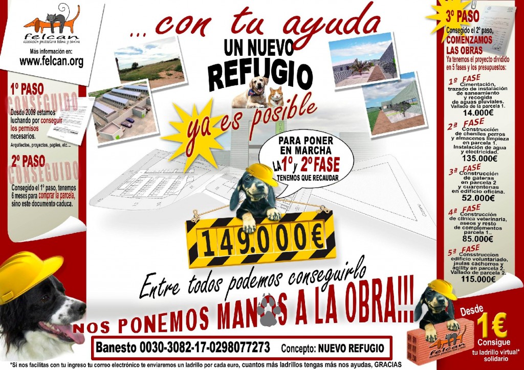 construccion fases