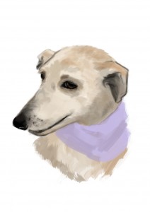 Magui