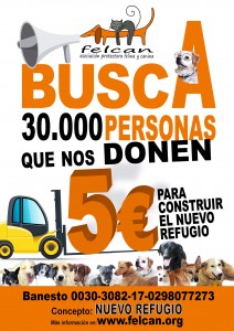 cartel busca