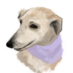 11 julio. retrao de inma 2
