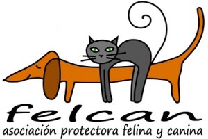 Logotipo OK