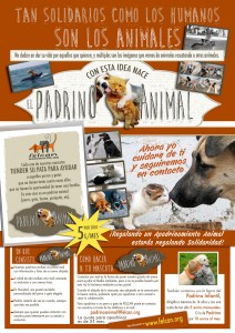 Cartel padrino animal