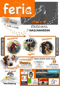 feria animalista