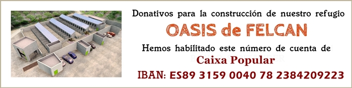 Banner cuenta refugio 1x4