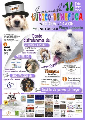 CARTEL FERIA benetuser 14 nov web