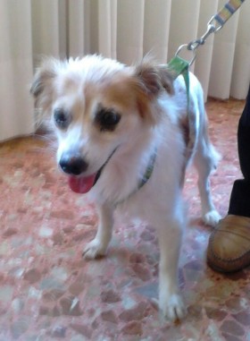 tamy_01