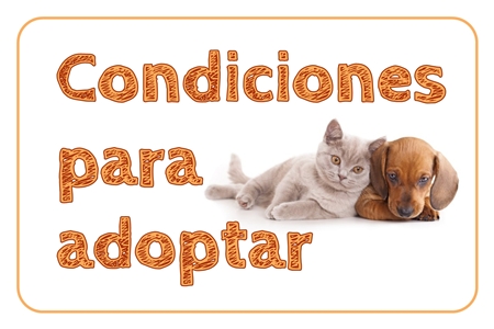 Banner condiciones adopción c