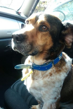 baxter_01